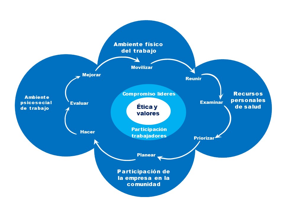 4 PILARES OMS